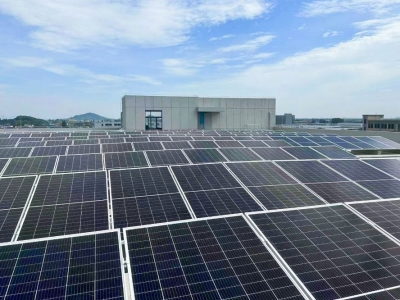 w66集团快讯 | 9.1MW散布式光伏项目顺利开工，5.25MW散布式光伏项目成功并网