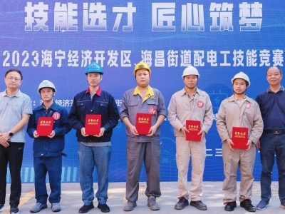 w66集团科技员工在“技术选才 匠心筑梦”配电工技术较量中喜获佳绩
